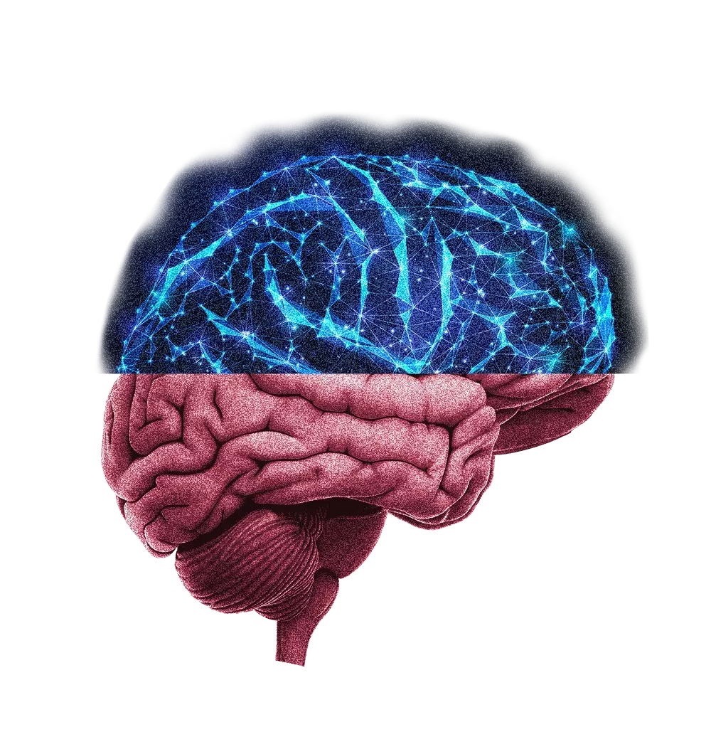 obrázek mozku